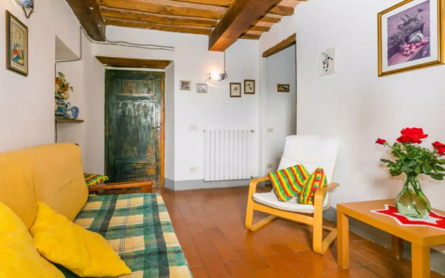 Giuggiolo 6