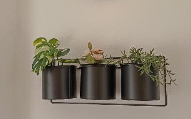 Vi Home