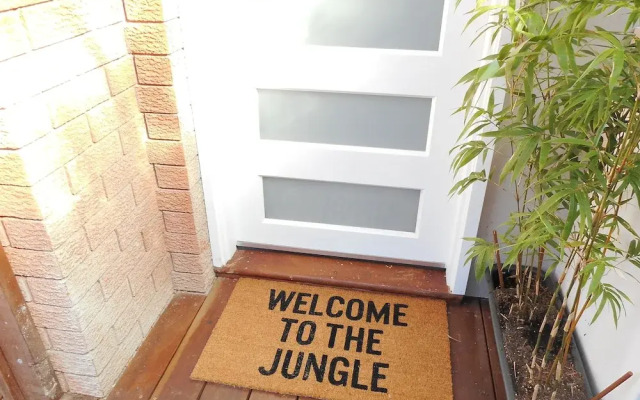 The Little Jungle Studio