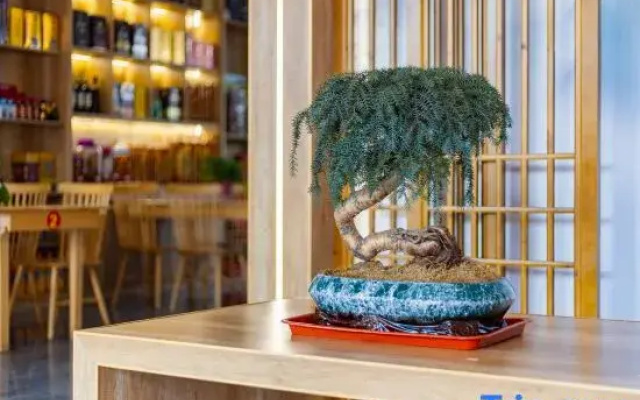Wangxia Homestay (Jiuhuashan Transfer Center)
