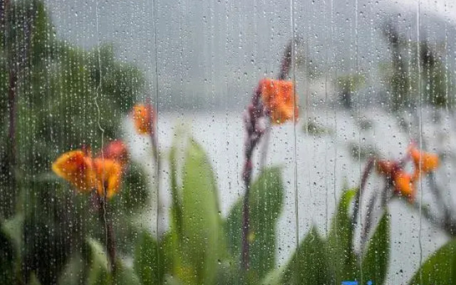 Qingjing Qiandao Lake Hostel