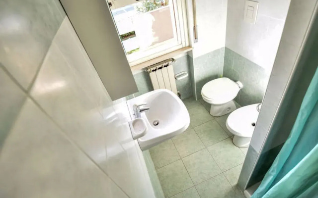 Green Marine, Palme, Ismare 32519