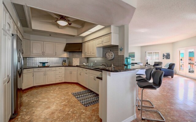 Beach Palms 504