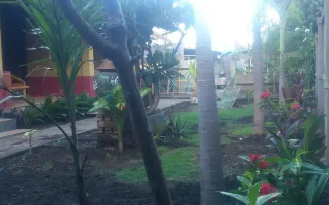 Gili Gecko