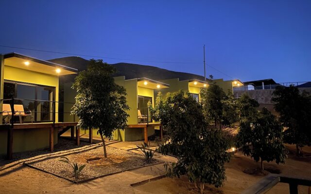 Palta 60 Valle de Guadalupe