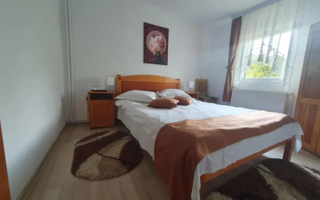 Casa Flavius