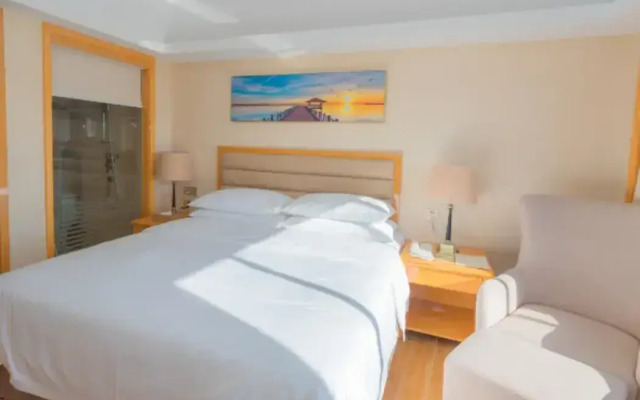 Vienna International Hotel (Nan'ao Island)