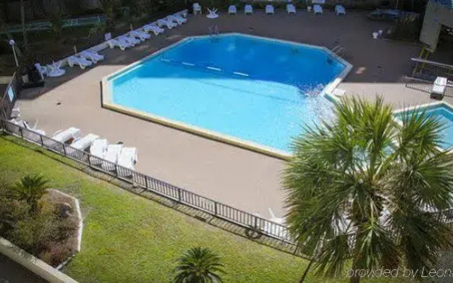 Top of the Gulf by Blowin N The Wind Mgt