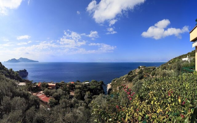 Villa Pisani Piscina Giardino Terrazzi Panoramici Su Capri