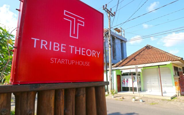 Tribe Theory - Startup House