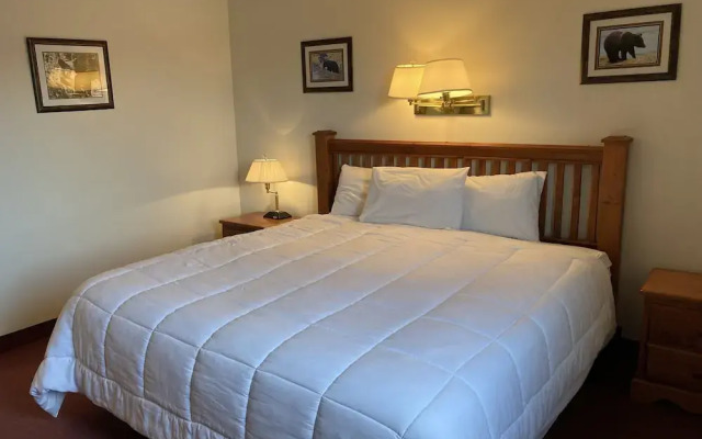 Northern Motor Inn