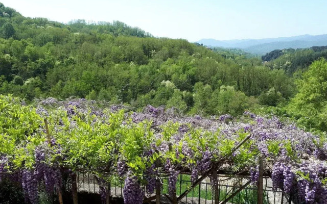 B&B Poggio delle Rondini