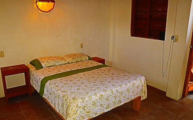 Cafe Maya - Casa Acalli Restaurant & Hotel