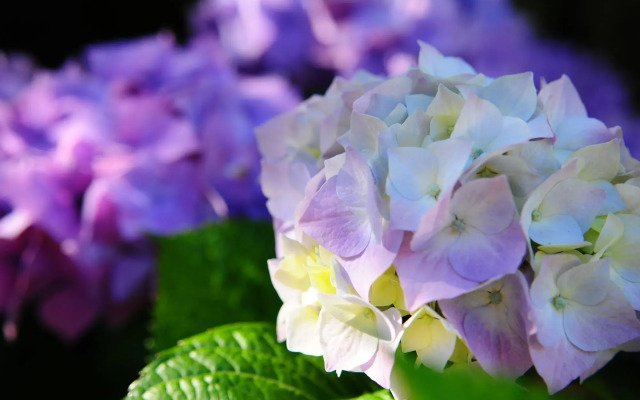 The Crays Accommodation