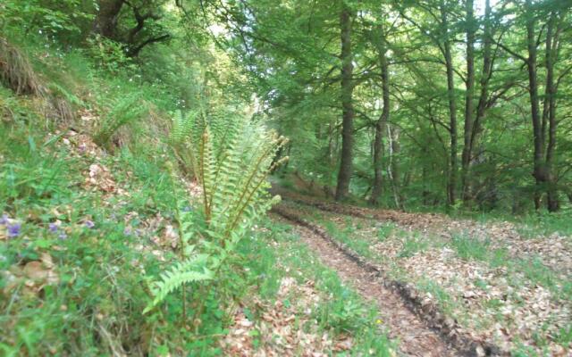 Apartamento San Mamés