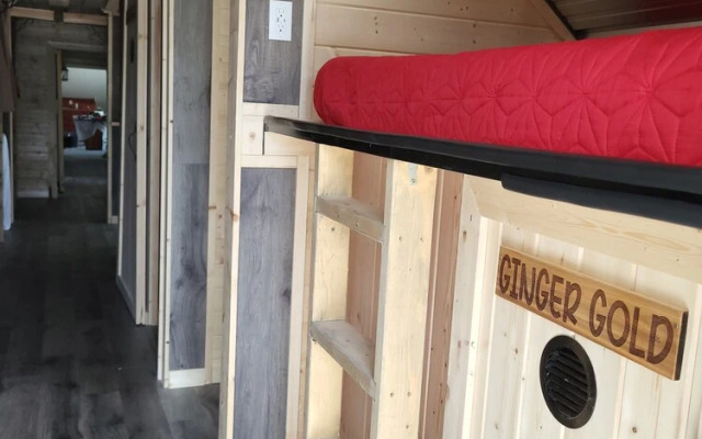 The Orchard Hostel Private Bunks