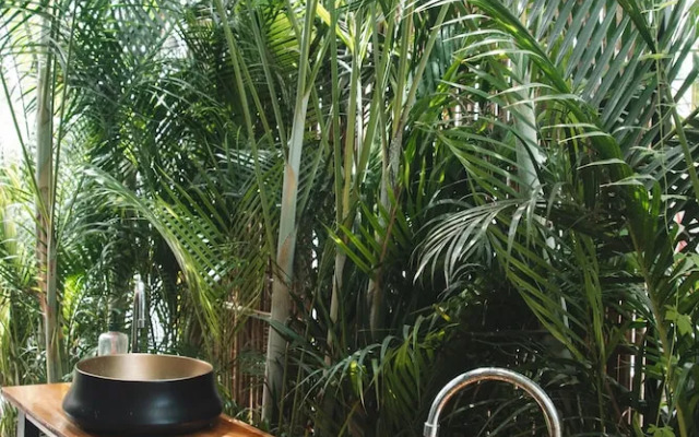 Casa Wolaba