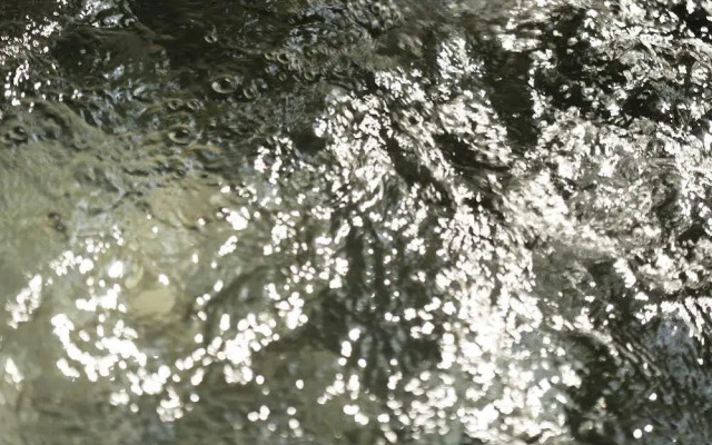 Masutomi Ryokan
