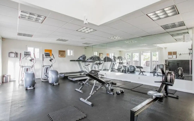 WanderJaunt | Basilica | 2BR | Point Loma