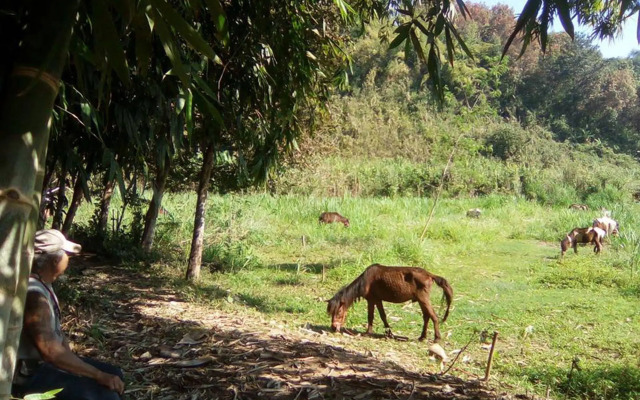Phu Chaisai Chiang Rai Mountain Resort