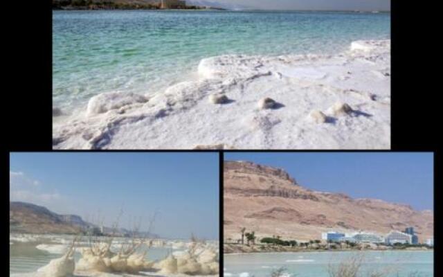 Nadia Hosting Dead Sea
