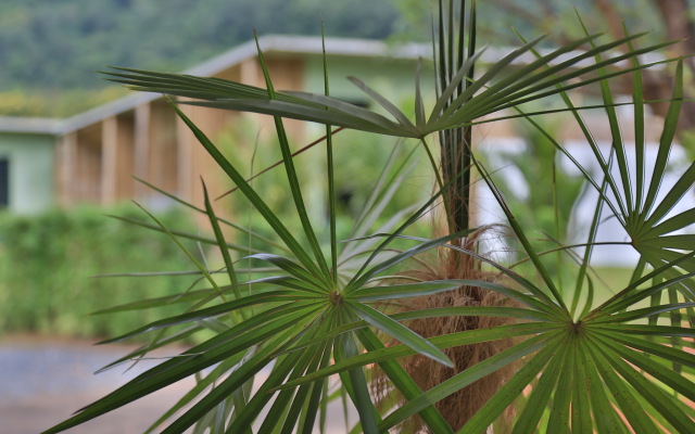 Curve360 Hotel Khao Yai