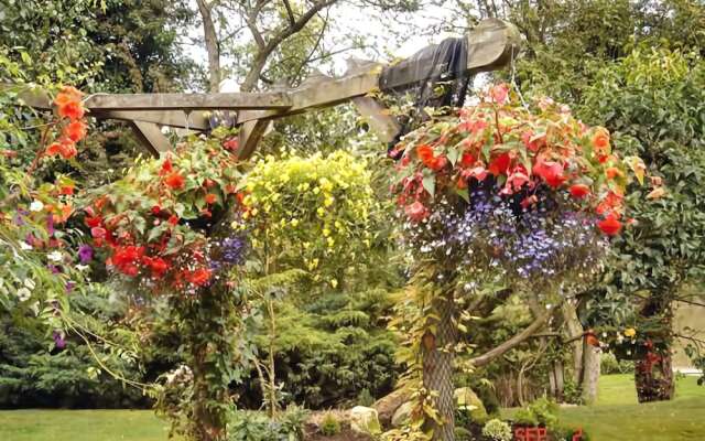 The Willows Bed and Breakfast