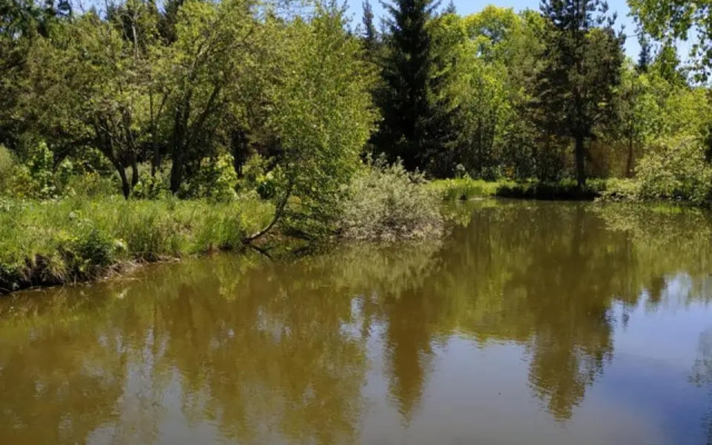 Re(S)Source (Adults Only)