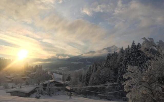 Berghof Haselsberger Appartment