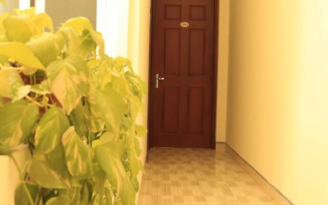 Lavender Hotel Quy Nhơn