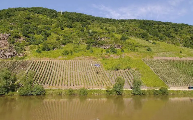 Weingut-Gästehaus Karl Otto Nalbach