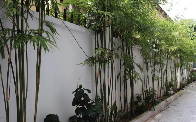 Royal Lion Hotel and Apartment