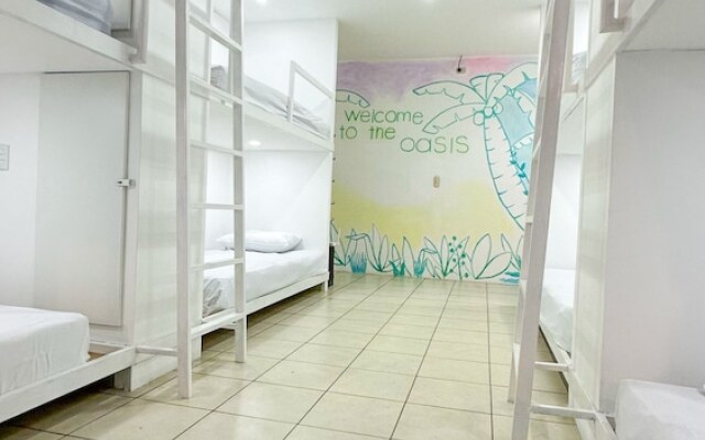 SJO Oasis Hostel