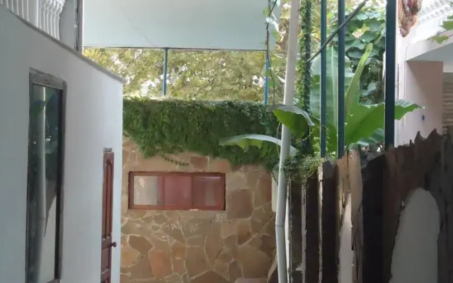 Олимп Вардане