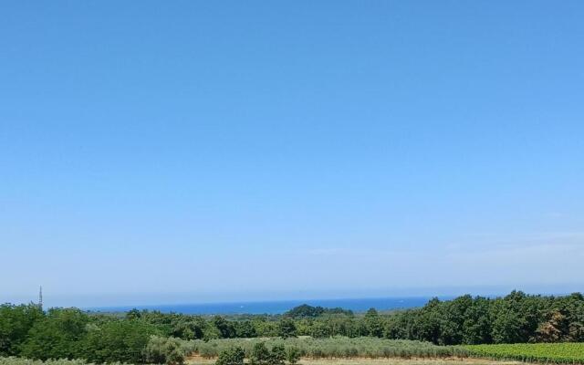 Apartments Vesna