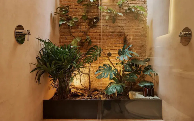 Ti Lade Alberca Dise o Ubicaci n AC