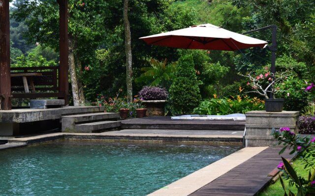 Blue Pacific Signature Rancamaya