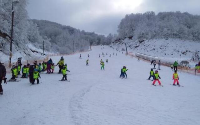 Apartment Kopaonik All Seasons Brzece