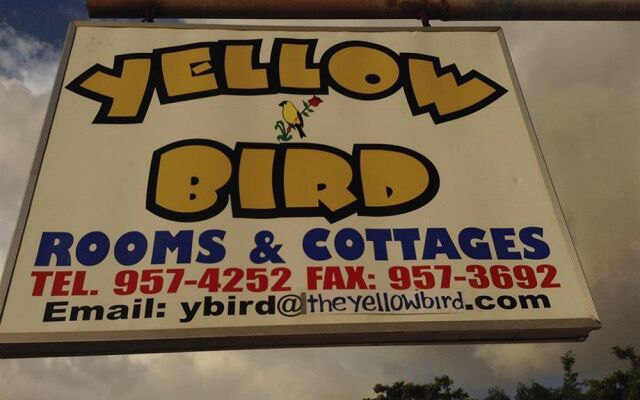 The Yellow Bird