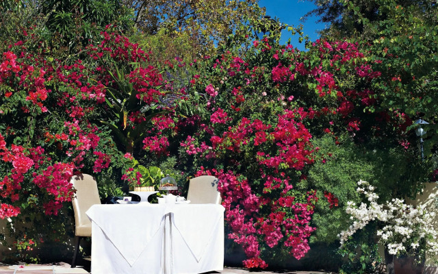 The Last Word Constantia