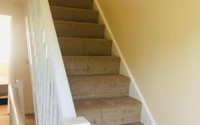 Potters Hollow (Adults Only)