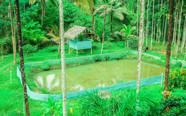 Cavern Wayanad