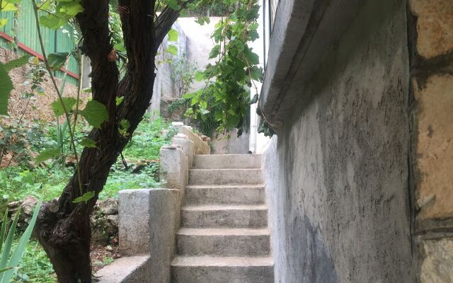 Apartment Sjajna - garden: A1 Jelsa, Island Hvar