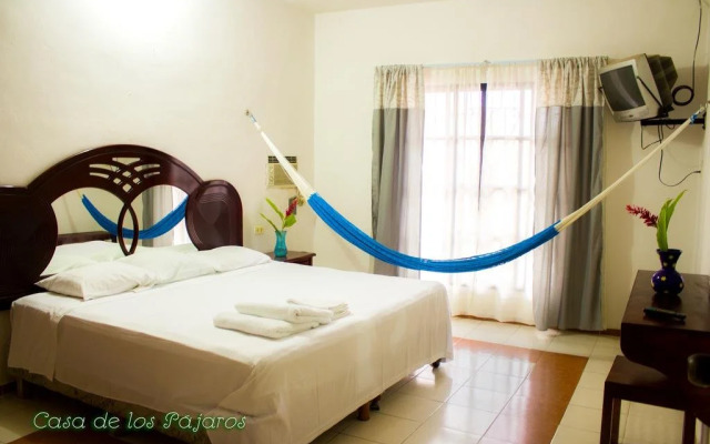 Casa De Los Pájaros - B&B