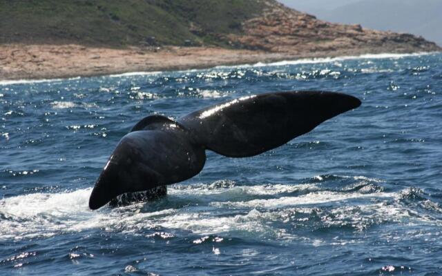Buffelsdam Country House
