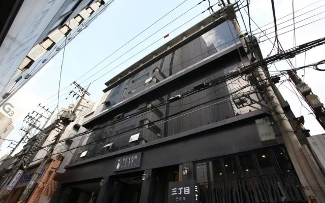 Shinchon Peter Cat