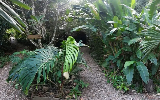 Iguana Roost Jungle Like Oasis Two Bedroom Cabin in San Ignacio