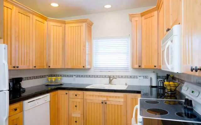 Denver Endeavor- Amazing Terrace