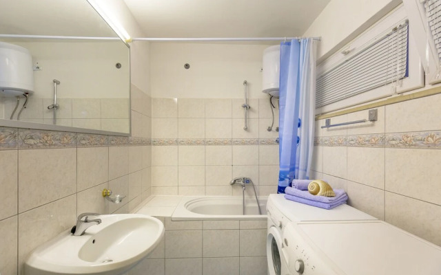 Apartment Vinea