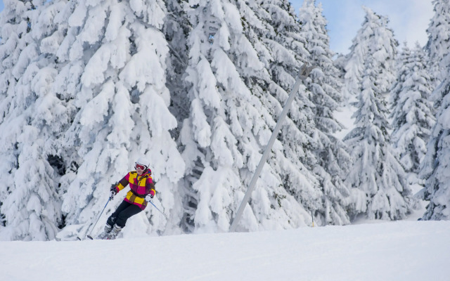 VVF Villages « Les Monts du Jura » Lélex